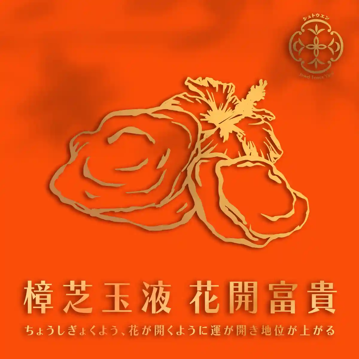 樟芝玉液 細節 1